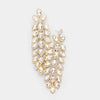 Gorgeous earrings SHOP PRISCILLA LEE